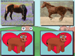 My Horse Match